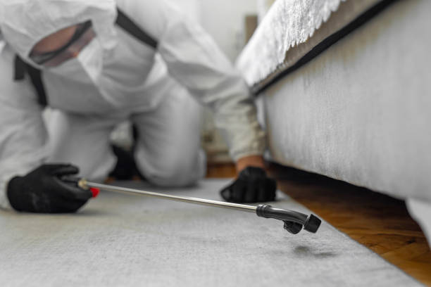 Professional Cockroach Control technician working in Winnie, TX